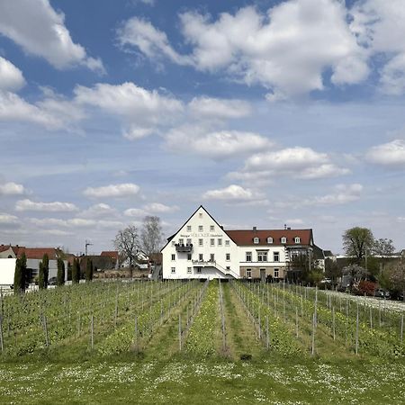 Апартаменты Weinzeit13 Нойштадт-ан-дер-Вайнштрасе Экстерьер фото