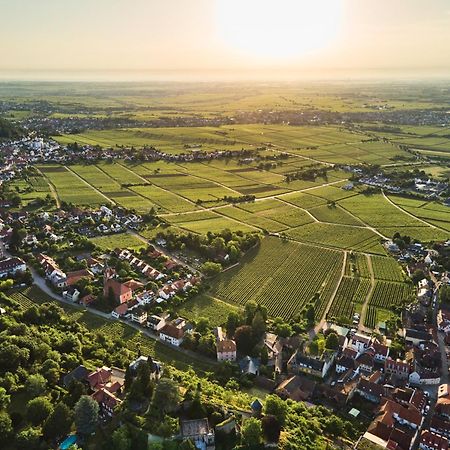 Апартаменты Weinzeit13 Нойштадт-ан-дер-Вайнштрасе Экстерьер фото