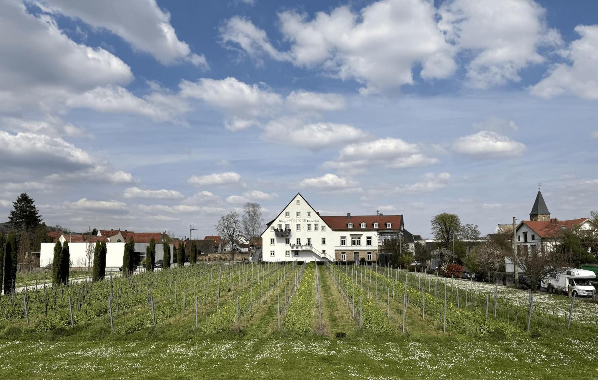 Апартаменты Weinzeit13 Нойштадт-ан-дер-Вайнштрасе Экстерьер фото